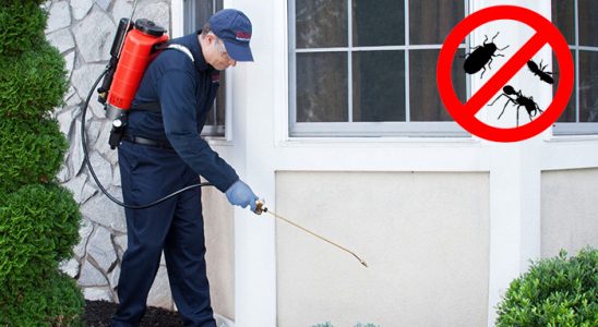 Anamur Dezenfeksiyon böcek ilaçlama ve haşere kontrolü — ilaclama-tr.com